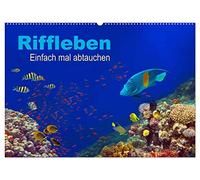 Riffleben - Einfach mal abtauchen (Wandkalender 2026 DIN A2 quer), CALVENDO Monatskalender: Eintauchen in die bunte Unterwasserwelt