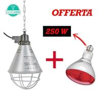 RIFLETTORE in alluminio + LAMPADA infrarossi 100 / 150 / 250 W - OFFERTA CANI