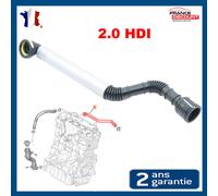Riflettore Tubo Olio Per Citroën C5 2.0 HDi 138 (2004-2010) 1192WH