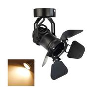 Riflettori da Palco, Lampada da soffitto vintage industriale con faretti a LED pieghevoli a forma di porta da fienile, for corridoio, illuminazione artistica, palcoscenico, teatro(5W COB 3000K Bulb)