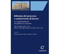 Riforma del processo e controversie di lavoro. Con approfondimenti sul giu...