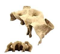 Rifugi Per Pesci Per Acquario - Habitat Per La Riproduzione Dei Gamberetti | Grotta Gamberetti Decor Acquario,Per Betta Guppy Corydoras Pesce Gatto Ciclidi Piccoli Rettili Granchio Paguro Terrario