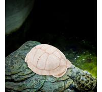 Rifugio Per Rettili Ornamento Caverna Di Nascondiglio Della Lucertola