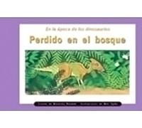 Rigby PM Coleccion: Leveled Reader 6pk (Levels 15-16) Perdido En El Bosque (Lost in the Forest)