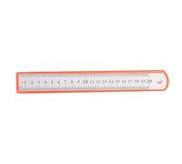Righello in acciaio inossidabile Centimetro Spessore Robusto Righello dritto multiuso ad alta precisione per ufficio Scuola Metallo argento 30 cm (20cm)