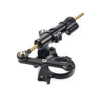 Righello In Titanio Motocicletta Manubrio Testa Anti-vibrazione Ammortizzatore Sterzo Universale Modificato Kit Smorzatori Stabilizzatori Tampone Smorzamento Direzionale Barre stabilizzatrici moto