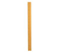 Righello Ingegneria in Alluminio 30cm 1:20-1:125 - Precisione Elevata, Incisione Permanente, Portatile per Architetti e Ingegneri (Tempo atmosferico)