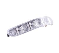 Right Door Side Mirror Turn Signal Light Fit for Mercedes CL S W220 W215 03-06