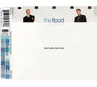 RIGHT HERE RIGHT NOW CD GERMAN ZTT 1995