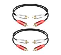 RIIEYOCA Cavo RCA Audio 0,3 m, Cavo Audio Stereo Corto da 2RCA Maschio a 2RCA Maschio per Home Cinema, Altoparlanti, Amplificatore, Subwoofer, Sistema Stereo (2PCS)