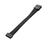 Riiichflowshop Cavo USB 9 Pin Maschio a 11 Pin Femmina, Lunghezza 10 cm, Adatto per Scheda Madre e Chassis, Per Computer Portatile, PC e Console da Gaming