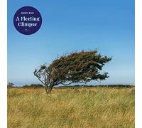 Riis,Bjorn - A Fleeting Glimpse (Lim. Transparent Blue Vinyl)
