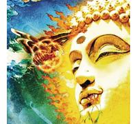 Rikard Sjöblom's Gungfly On Her Journey to the Sun (CD) Album