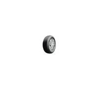 Riken RIKEN 701 225/60 R18 100 H
