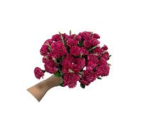 Rikyo 4 mazzi di garofani artificiali in seta, bouquet da 30,5 cm e foglie per feste in casa, matrimoni, decorazione per festival, con 10 fiori per mazzo (viola)