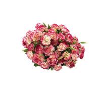 Rikyo Bouquet di 4 mazzi di garofani in seta artificiale, bouquet da 30,5 cm e foglia verde per oggetti di scena per foto, festa, matrimoni, con 10 fiori (bordo rosso-bianco)