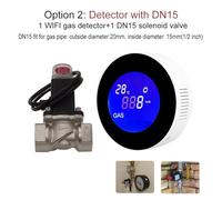 Rilevatore di Gas, Rilevatore di gas naturale WIFI con elettrovalvola elettrica Controllo intelligente automatico Spegnimento sensore di allarme perdite di metano CH4(With DN15 Valve)