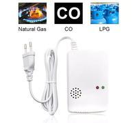 RILEVATORE MONOSSIDO DI CARBONIO E GAS 2in1 per STRUTTURE RICETTIVE B&B