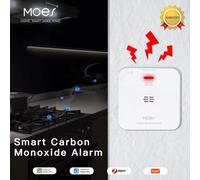 RILEVATORE MONOSSIDO DI CARBONIO E GAS 2in1 Senza Fili per STRUTTURE RICETTIVE