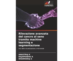 Rilevazione avanzata del cancro al seno tramite machine learning e segmentazione: Uso della visualizzazione a microonde