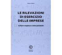 Rilevazioni di esercizio delle imprese