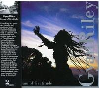Riley Gyan - Stream Of Gratitude