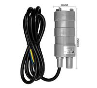 Riloer 12V Mini Pompa Verticale, Camper Caravan Camper Pompa Acqua Ad Alto Flusso 12V 10L/Min Pompa Sommergibile per Balena