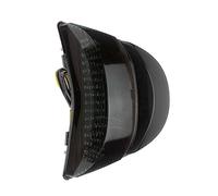 Riloer 1x Fanale posteriore Compatibile con moto, luci di marcia diurna e indicatori di direzione, compatibile con HONDA CBR 954RR 2002-2003, lente fumé