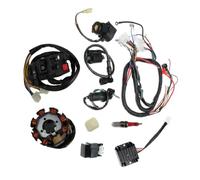 Riloer Kit di cablaggio elettrico per ATV da 125 cc a 250 cc, cablaggio cablaggio telaio CDI statore completo, 910144