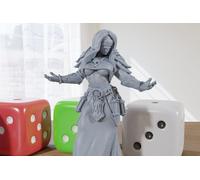 Rim - 3D Stampato Minifigure - Proxy Minis per Dnd ,Baldurs Gate,Ripiano Tavolo