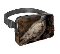 Rimani a mani libere e alla moda con il nostro marsupio da viaggio per uomini e donne, una borsa a tracolla per corsa, passeggiate, escursionismo e ciclismo, motivo piccione vintage, Multicolore#07,