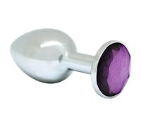 Dildo Anale in Metallo con Pietra Viola Rimba XS (Argento)
