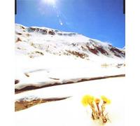 Rimi Natsukawa - Anohana No Youni