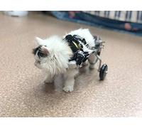 Rimorchio Sedia a Rotelle per la Riabilitazione delle Zampe Posteriori di Cane Gatto e Cuccioli, Carrello per Cani Anziani Feriti Disabili, Carrellino Passeggini per Tutti i Cani