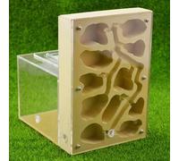 RIMSUNTA Cave Tower - Formiche in gesso con porte da 10 mm