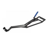 Laser Tools Tubo Clip Rimozione - per Renault Espace 3895