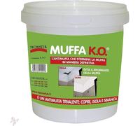Rimuovi Muffa Tecnostuk 1L Antimuffa Igienizzante Pareti Bagno Cucina