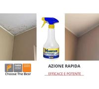 Faren MUFFYXID MUFFYCID Rimuovi muffa toglie macchie muschi alghe 5 LT
