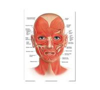 RIMURA Il Corpo Anatomia facciale Vasi muscolari Pittura su Tela dettagliata Struttura Umana Scheletro Educazione Poster Decorazione Medica (Color : 20, Size : 30X45cmUnframed)