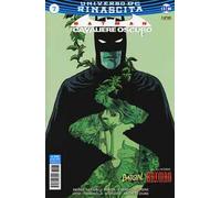 Rinascita. Batman. Il cavaliere oscuro. Vol. 7