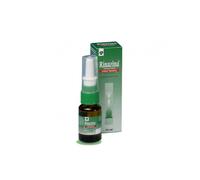 GLAXOSMITHKLINE C.HEALTH.Srl RINAZINA SPRAY NASALE 15ML 0,1%