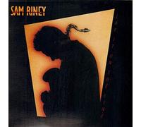 Riney,Sam - Lay It on The Line [Import]