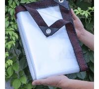 [Rinforzato e resistente allo strappo] Telo impermeabile e antivento trasparente, riparo esterno per pioggia e neve, telone impermeabile universale per carport/orto/cantiere edile 2m*4m,2mx6m,2m*5m,3m