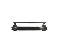 Rinforzo del paraurti BLIC 5502-00-0110940P