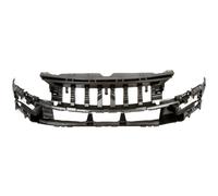 Rinforzo del paraurti BLIC 5502-00-0552943P