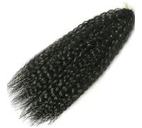 Rinfrescante Parrucche lunghe Parrucche intrecciate all'uncinetto Parrucche ricci multicolori ondulate morbide Estensioni dei capelli sintetici per le donne Usano parrucche piene Regolabile