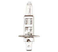 Ring Lampadina 24V 100W
