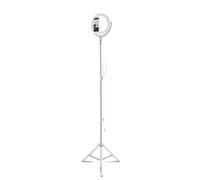 Ring Light Funzione Lampada da Salotto, con Treppiedi per Smartphone - 4smarts