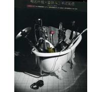 Ringo Shiina - Heisei Fuzoku [Import]