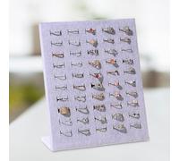 Rings Display Explay per anelli di gioielli a portata di porta